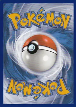 2024 Stellar Crown - Raboot 147/142 Illustration Rare Pokemon Card - Image 2