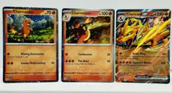Charizard ex Super Premium Collection Pokemon TCG Promo Set 161 004 005 NM - Image 1