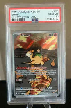 Pokemon TCG: PSA 10 | Numel # 223 Illustration Rare | Ascended Heroes | Low Pop - Image 1