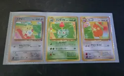 Pokemon Southern Islands Rainbow Island Riverside Opened Japanese - Image 5
