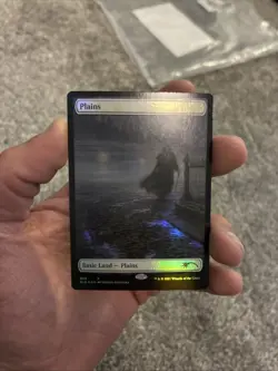 Plains - Dracula ✨ No Text FOIL ✨ MTG NM Near Mint (359) Secret Lair - Image 1