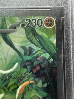 Pokemon Koraidon ex 247/198 SV01: Scarlet & Violet Base Set Holo PSA 10 - Image 4