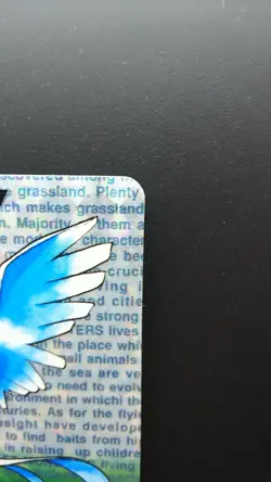 Pokemon Japanese Card Holo Rare Articuno NO.144 Nintendo Carddass BANDAI - Image 3