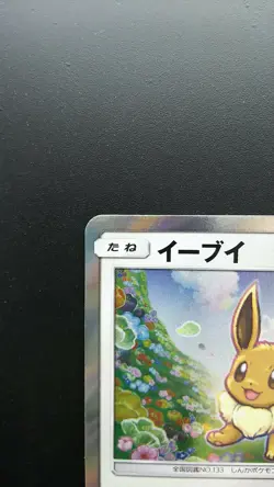 Pokemon Japanese Card Holo Rare Eevee 245/SM-P Nintendo Promo GYM - Image 2