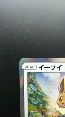 Pokemon Japanese Card Holo Rare Eevee 245/SM-P Nintendo Promo GYM - Image 2