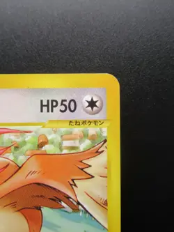 Pokemon Japanese Card Non-Holo City of Water Pidgeotto 010/018 【E-SERIES】 - Image 3