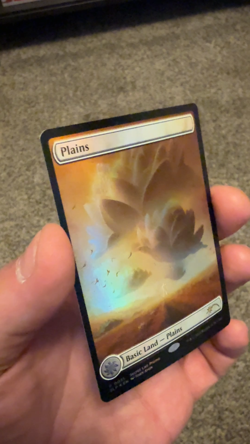Magic MTG Plains MagicCon Foil Borderless Lotus Secret Lair Promo SLP 0031 NM - Image 2