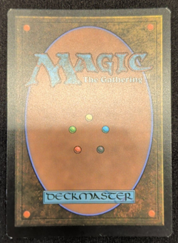 MTG FOIL Peregrin Took (#632) - The Lord of the Rings #632 - Image 2