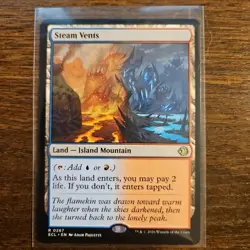 Steam Vents 0267 Reg Rare Land MTG Lorwyn Eclipsed NM - Image 1