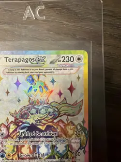Terapagos ex 165 Holo Promo Scarlet & Violet Promo Pokemon Near Mint - Image 5