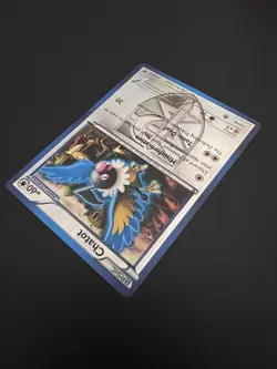Chatot 77/101 B&W Plasma Blast 2013 Pokemon Card Reverse Holo Uncommon NM - Image 5