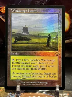 MTG | Windswept Heath (Retro) ✨FOIL✨ [MH3] - Image 1