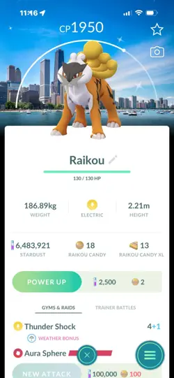 Pokemon Go Shiny Legendary Raikou ( Chicago Background) - Image 1
