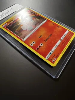New Pokemon Tepig Black Star Promo SWSH172 Fusion Strike Near Mint Swirl - Image 4