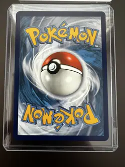 New Pokemon Tepig Black Star Promo SWSH172 Fusion Strike Near Mint Swirl - Image 5