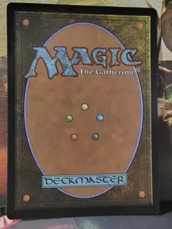 Circle of Dreams Druid - MTG Adventures in the Forgotten Realms - Regular - LP - Image 2