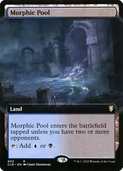 Morphic Pool - Extended Art CLB NM MTG - Image 1