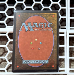 Arid Mesa - Zendikar Rising Expeditions Magic the Gathering - Image 2