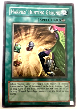 YuGiOh! - Harpies' Hunting Ground - Common - Image 1