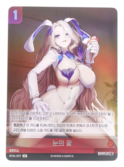 Brown Dust 2 Nivel Arena BT06-029 SR Darian Holo Korean Anime Trading Card - Image 1