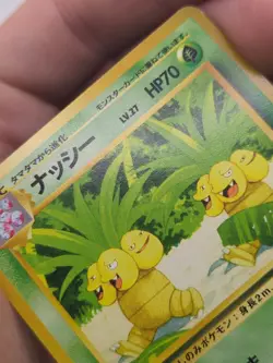 Pokemon Exeggutor Southern Island Regular Japanese - Image 3