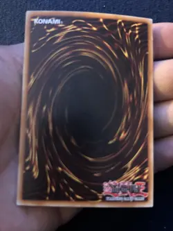 * BLACKWING - SIROCCO THE DAWN * 1ST EDITION ULTRA RARE LC5D-EN112 (NM) YUGIOH! - Image 4