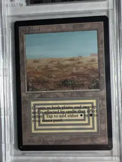 MTG BETA Beta Scrubland BGS 9 Quad++ Mint (9.5 edges, surface) 1993 - Image 3
