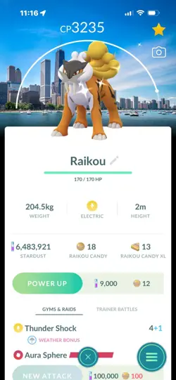 Pokemon Go Shiny Legendary Raikou ( Chicago Background) ( High CP ) - Image 1