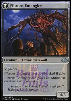 Tangleclaw Werewolf / Fibrous Entangler 2x FOIL MTG Eldritch Moon Uncommon MINT - Image 2