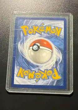 SV: Scarlet & Violet Promo Cards #173 Eevee Mint - Image 2
