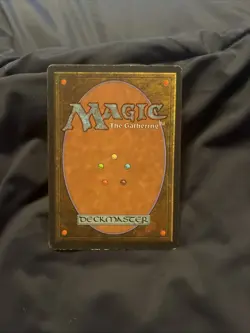 Flying Carpet (Arabian Nights) LP MTG - Image 2