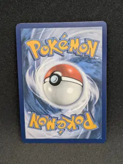 Dachsbun Ex 169/142 - Stellar Crown Pokemon TCG Special Illustration Rare NM - Image 2