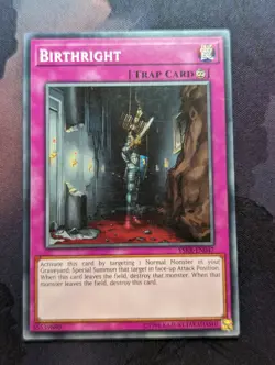Birthright - YSKR-EN047 Common Unlimited Yugioh - Image 1