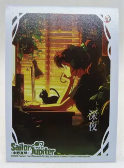 CARTE MANGA MINT Sailor moon Sailor Jupiter DEMON CARD PUS- 08 - Image 1