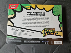 Pokemon TCG Mega Evolution Ascended Heroes Mega Meganium ex Box New & Sealed - Image 2
