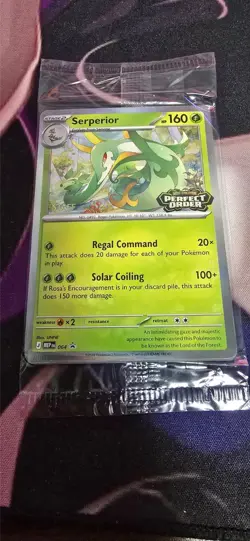 Pokemon Perfect Order Sealed STAFF Prerelease Stamped Promos MEP 064,065,066,067 - Image 1