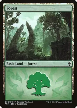 Forest (#B08) - Foil Promo Ravnica Allegiance MP MTG - Image 1