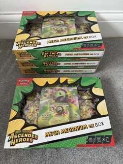 Pokemon TCG Ascended Heroes Mega Meganium EX Box - Image 1
