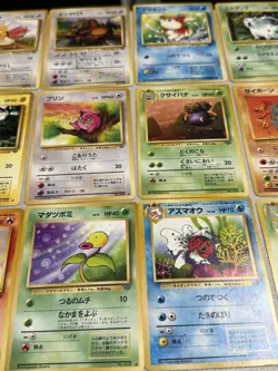 Vintage Pokemon Card Lot 31 Japanese Jungle WOTC - NO DOUBLES NO HOLOS - Image 5