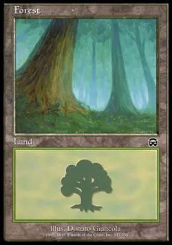 1x Forest (347) - Foil Mercadian Masques Near Mint, English Mtg Magic - Image 1