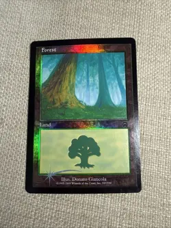 Forest - FOIL - 347 Mercadian Masques - Magic the Gathering MTG LP - Image 1