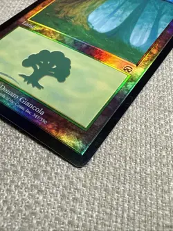 Forest - FOIL - 347 Mercadian Masques - Magic the Gathering MTG LP - Image 3