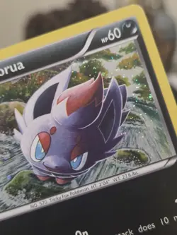 2011 Pokemon BW Black Star Promos Zorua #BW12 - MP+ - Image 4