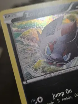 2011 Pokemon BW Black Star Promos Zorua #BW12 - MP+ - Image 5