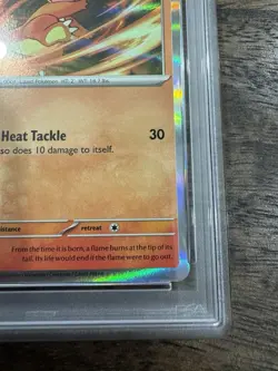 🔥 NEW CERT 🔥 Charmander 026/197 Holo PSA 10 🔥 Obsidian Flames Promo Card Box - Image 2