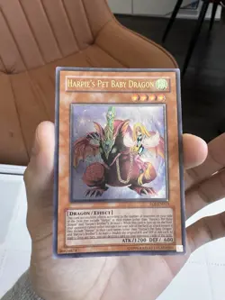 YuGiOh! Harpie’s Pet Baby Dragon EOJ-EN013 EURO Ultimate Rare Unlimited MP/HP - Image 1