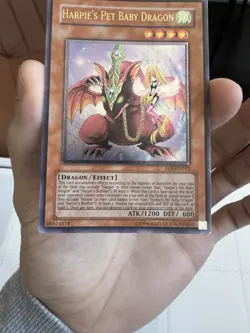 YuGiOh! Harpie’s Pet Baby Dragon EOJ-EN013 EURO Ultimate Rare Unlimited MP/HP - Image 3