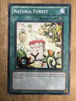 Naturia Forest - DREV-EN051 - Common - 1st Edition NM YuGiOh! Duelist Revolutio - Image 1