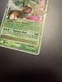 Torterra LV.X DP09 Holo Pokemon Card – Diamond & Pearl Promo (2007) - Image 4