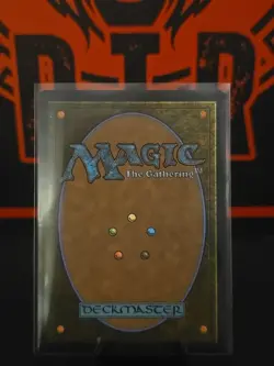 MTG Edge Of Eternities Lombering Falls x1 NM 024 - Image 2